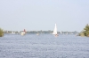 NIEUWKOOP 09-2008 203.JPG